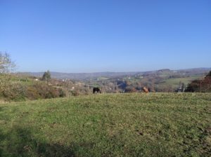 Une vie au pré